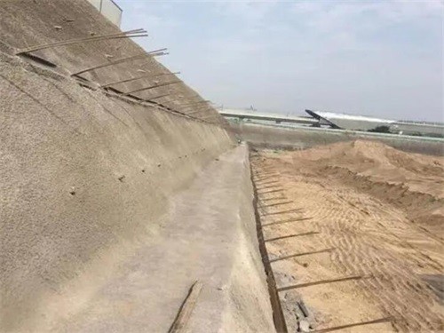 田林河道边坡加固